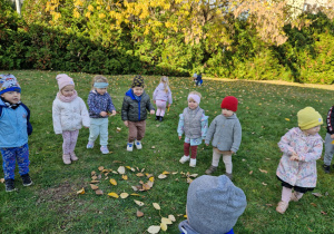 Małe smyki z grupy X w świecie przyrodniczej sensoryki – projekt edukacyjny cz. I JESIEŃ.