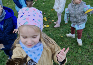 Małe smyki z grupy X w świecie przyrodniczej sensoryki – projekt edukacyjny cz. I JESIEŃ.