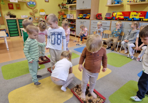 Małe smyki z grupy X w świecie przyrodniczej sensoryki – projekt edukacyjny cz. I JESIEŃ.