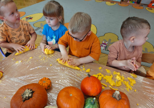 "Dzień Dyni"- czyli sensorycznie i dyniowo w grupie I