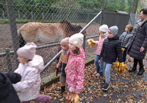 Jesienna wycieczka do parku w grupie IX