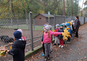 Jesienna wycieczka do parku w grupie IX