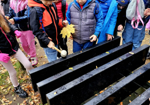 „Jesień jest piękna”- wycieczka do parku- grupa VI