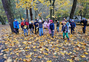 „Jesień jest piękna”- wycieczka do parku- grupa VI