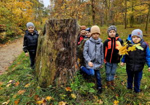 „Jesień jest piękna”- wycieczka do parku- grupa VI