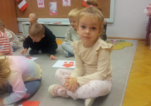 Projekt edukacyjny "Polska- mój dom"