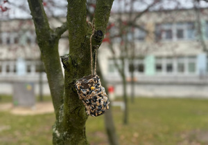 Pomagamy skrzydlatym przyjaciołom- gr II