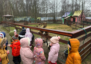 Z wizytą w Malinowej Krainie grupy II i IV