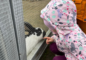 Z wizytą w Malinowej Krainie grupy II i IV