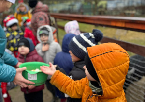 Z wizytą w Malinowej Krainie grupy II i IV