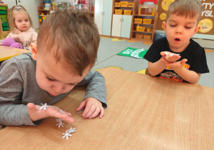 Projekt edukacyjny "Siły Przyrody"