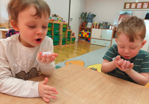 Projekt edukacyjny "Siły Przyrody"