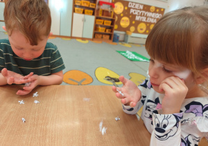 Projekt edukacyjny "Siły Przyrody"