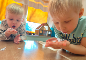 Projekt edukacyjny "Siły Przyrody"