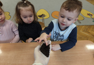 Projekt edukacyjny "Siły Przyrody"