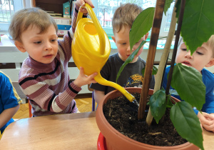 Projekt edukacyjny "Siły Przyrody"