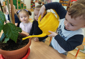 Projekt edukacyjny "Siły Przyrody"