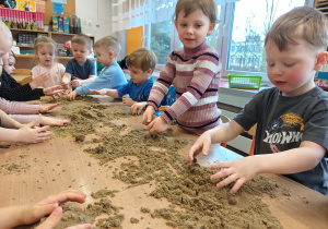 Projekt edukacyjny "Siły Przyrody"