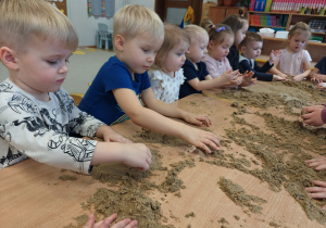 Projekt edukacyjny "Siły Przyrody"