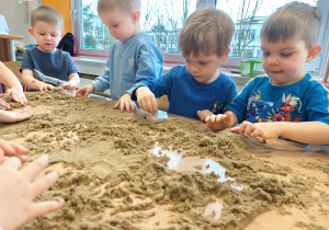 Projekt edukacyjny "Siły Przyrody"