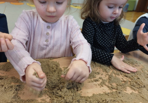 Projekt edukacyjny "Siły Przyrody"