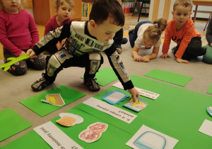 Mali odkrywcy - projekt edukacyjny "MLEKO" w grupie I