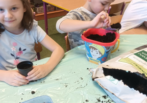 Projekt edukacyjny pt. "Kolorowa wiosna" w grupie II