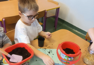 Projekt edukacyjny pt. "Kolorowa wiosna" w grupie II