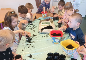 Projekt edukacyjny pt. "Kolorowa wiosna" w grupie II