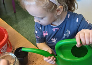 Projekt edukacyjny pt. "Kolorowa wiosna" w grupie II