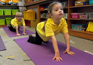 Projekt edukacyjny pt. "Kolorowa wiosna" w grupie II