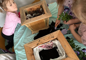 Projekt edukacyjny pt. "Kolorowa wiosna" w grupie II