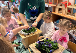 Projekt edukacyjny pt. "Kolorowa wiosna" w grupie II