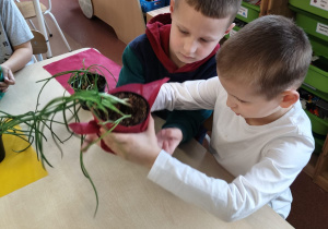 "Wielkanoc w sztuce ludowej..." - grupa IX