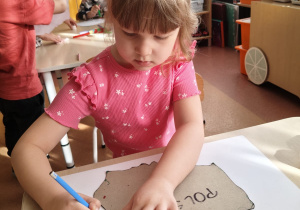 Projekt edukacyjny w grupie IX : „ Polska mój dom - na szlaku historii”