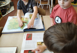 Projekt edukacyjny w grupie IX : „ Polska mój dom - na szlaku historii”