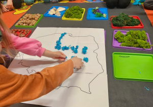 „Polska – moja Ojczyzna” – projekt edukacyjnyGrVII