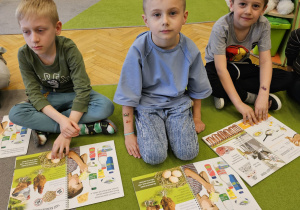 „Skąd się biorą produkty ekologiczne” - grupa VI