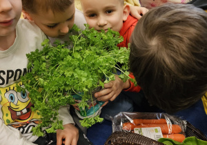 „Skąd się biorą produkty ekologiczne” - grupa VI