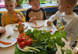 „Skąd się biorą produkty ekologiczne” - grupa VI