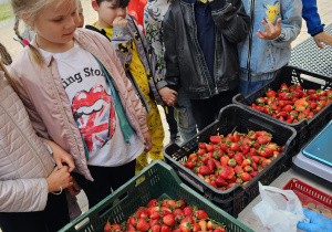 „Skąd się biorą produkty ekologiczne” - grupa VI