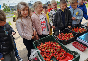 „Skąd się biorą produkty ekologiczne” - grupa VI