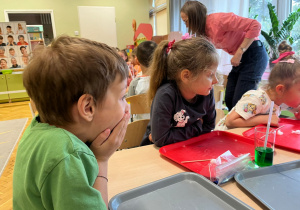 Zdjęcie 28 na 100