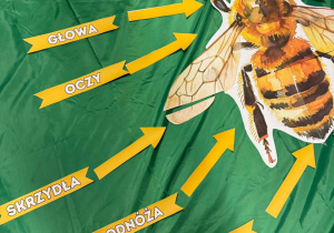 "W królestwie pszczół"- Dzień pszczoły grupa VII