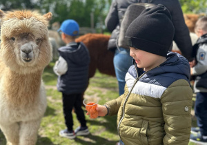 Wycieczka do Alpakarni grupy II
