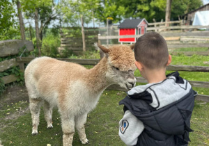 Wycieczka do Alpakarni grupy II