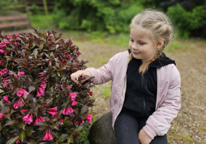„W Krainie Uśmiechu”- świętujemy Dzień Dziecka w Deli Parku- grupa VI