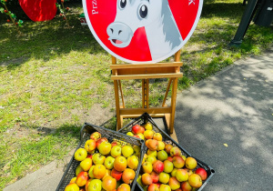 Dzień Dziecka w Parku Chopina