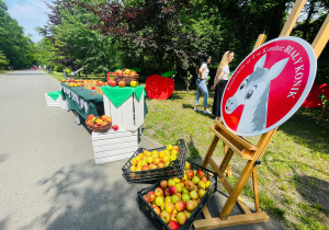 Dzień Dziecka w Parku Chopina