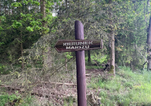 Wycieczka do Nadleśnictwa Grodziec - grupa VII